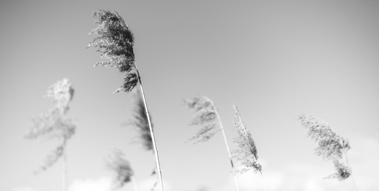 Minimalizm w kadrze – kilka ujęć, w których mniej naprawdę znaczy więcej